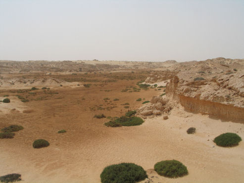 Deserto libico Deserto libico